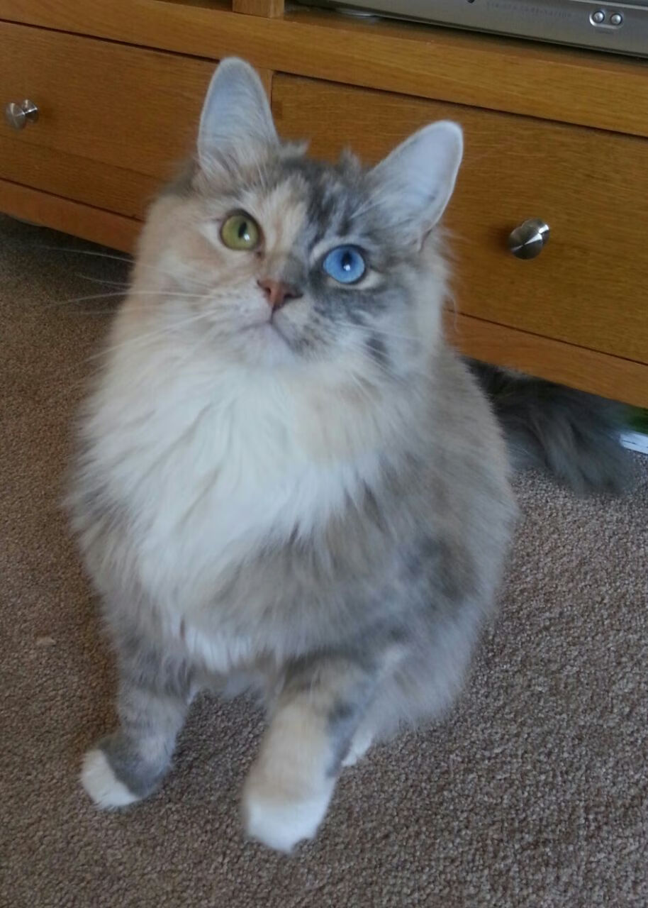 kaiyun sports safe-全国篮球争霸赛,群雄逐鹿争夺冠军,cgl全国联赛篮球争霸赛