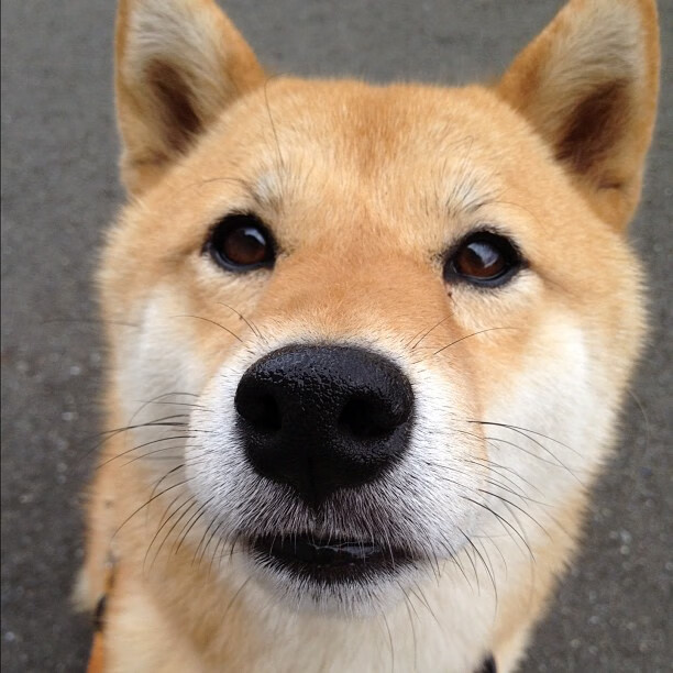 开云APP下载-女子篮球联赛总决赛精彩纷呈,冠军争夺进入白热化,女子篮球2021