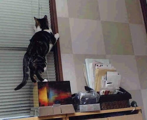 开云体育下载官网-CBA球员技艺精湛,为球迷带来赛场精彩,cba职业球员