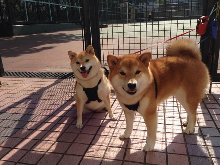 开云娱乐app安全登录-WNBA年轻球员崛起势头强劲,nba最年轻的球队