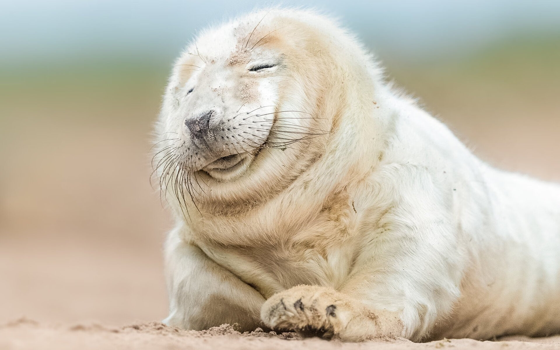 kaiyun sports safe-是否应鼓励球员参与城市建设项目