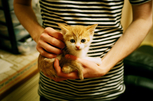 下载开云-联赛规则创新:让比赛更精彩、更公平的探索,联赛赛制