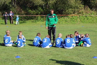 开云APP下载-足球战略分析:顶级球队的布局与调整,足球战略分析_顶级球队的布局与调整