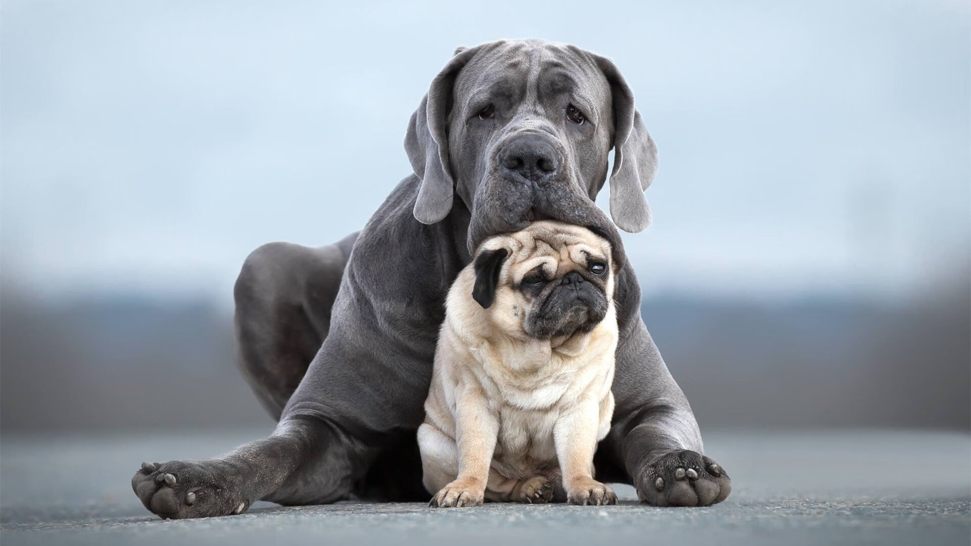 开云官方-“武汉马拉松：速度与耐力的巅峰对决！”